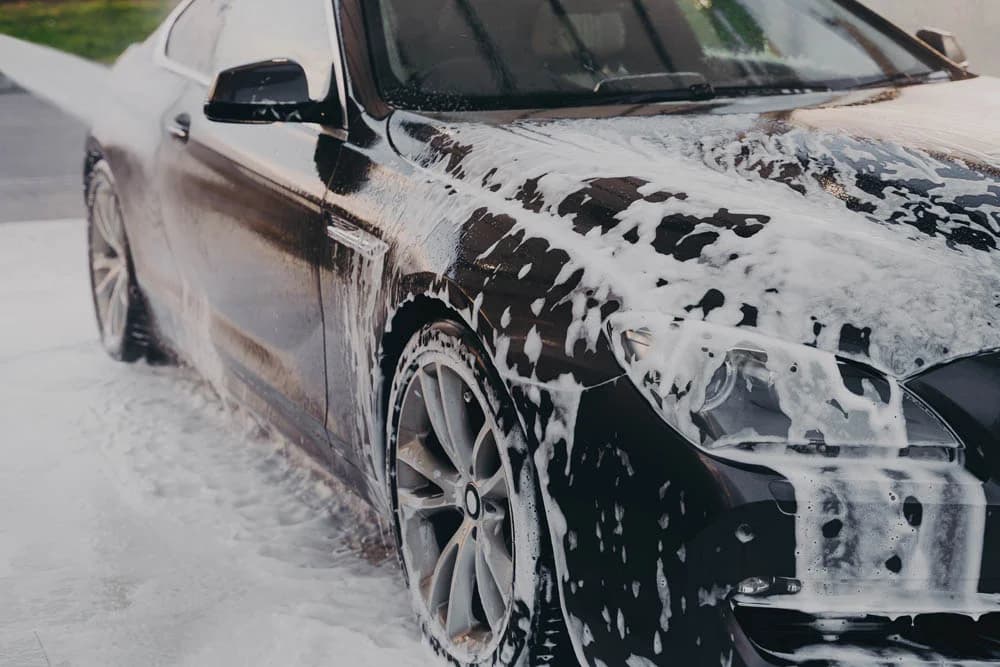 Eco Detailing 2